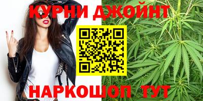прущие грибы Лесосибирск